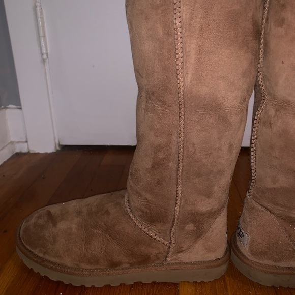Tall Chestnut Uggs size 9 - Picture 4 of 5
